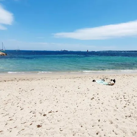 Vue , Piscine شقة *